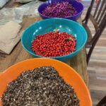 Four bowls of different native plants seeds. Preparing for our native plant sale in 2025