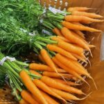 Carrots all bunched and clean ready for your CSA