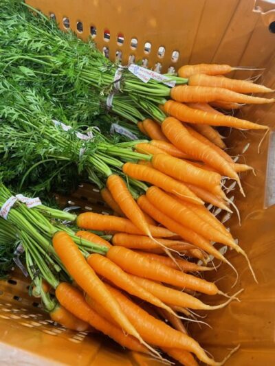 Carrots all bunched and clean ready for your CSA