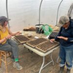 Meg (L) and Monica (R) seeding onions and leaks for 2025