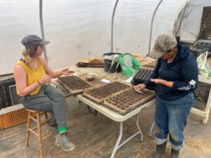 Meg (L) and Monica (R) seeding onions and leaks for 2025