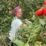 Kayla picking tomatoes in the high tunnel