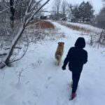 Cooper and Willie running around in the snow