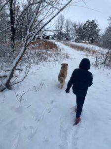 Cooper and Willie running around in the snow