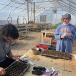 Seeding veggie crops in the greenhouse has begun. He Jaylon (L) and Meg (R) are seeding lettuces and other greens