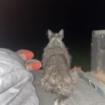 Georgia and Josephine out at night watching for cows