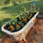 Tubby Creek Farm finally has a tub planter to mark our entrance