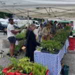 Native plant sale at the Cooper Young Community Farmers Market was a big success