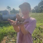 Katherine found a walrus fingerling potato