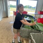 Cooper washing the collards as we get ready for market.