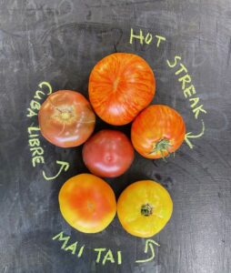 Some of our special tomatoes starting top going clockwise Hot Streak, Mai Tai and Cuba Libre