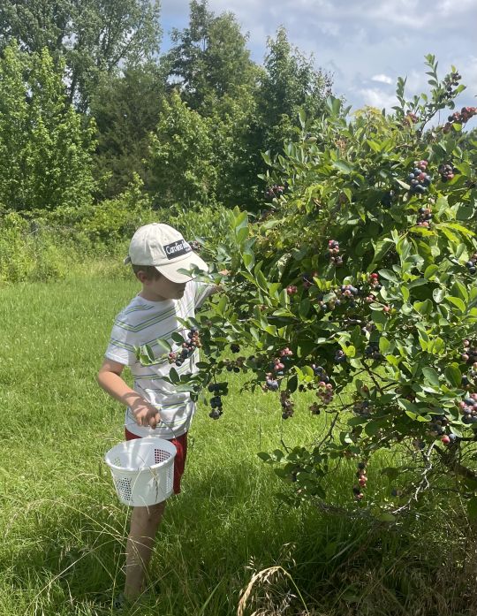 The Rain has Stopped, for Now