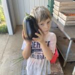 Eggplant bigger than Cooper'[s head