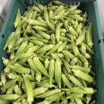 Nothing says summer like okra, okra, okra