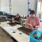 Having a good time while seeding trays of fall veggies with Raquel (L) and Shelby (R).