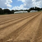 Fifty more beds made, for spring. Yes, spring 2026.