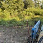 Dried up pond shallow end 2025