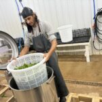 Robin putting arugula in the spinner
