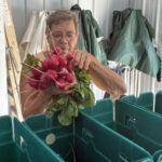 Guin (Josephine's mom) helping pack CSAs