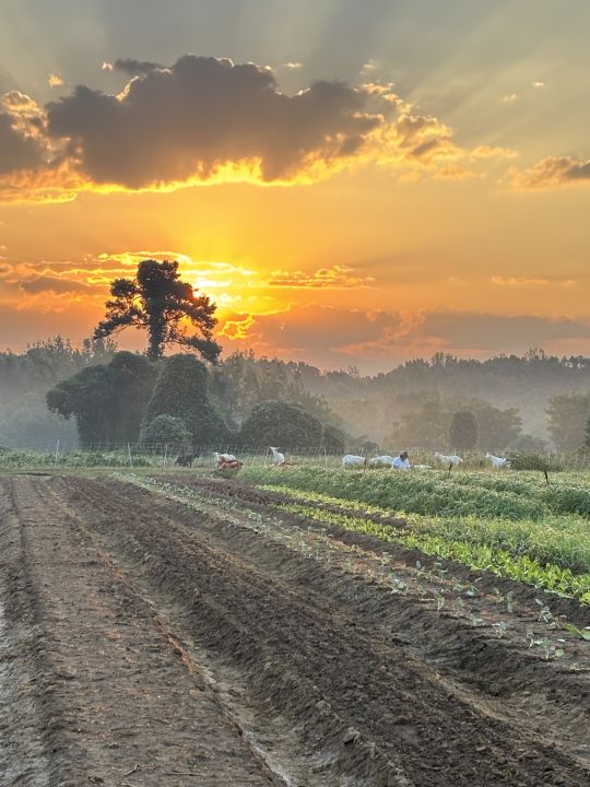 First rain in eight weeks