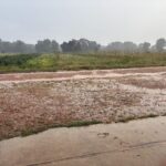 First rain in eight weeks. It was around 0.70 an inch