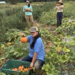 Harvesting baking pumpkins with Raquel (fore), Shelby (L) and Katherine (R).