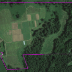 2015 Late summer veggie production has grown and first high tunnel on south side of field