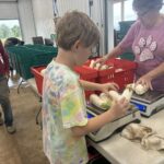 Cooper helping weigh out eggplant for the CSA and keeping the grammies busy during his fall break..