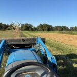 Mowing down the okra is a big moment, marking the end of our summer season.