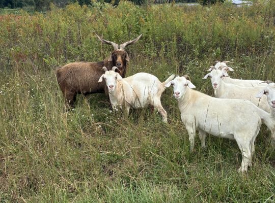 Mid October is Beautiful