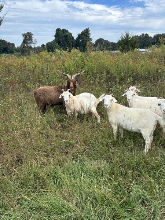 Mid October is Beautiful