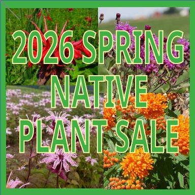 Webstore open for native plant sale