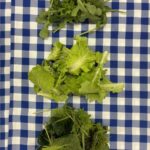 Arugula (top), Tokyo Bekana (middle) and savory greens mix (bottom)