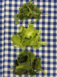 Arugula (top), Tokyo Bekana (middle) and savory greens mix (bottom)
