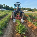 A new toy um, I mean implement, using spider gangs hilling potatoes