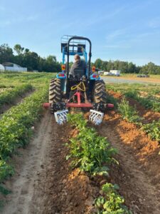 A new toy um, I mean implement, using spider gangs hilling potatoes