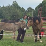 Our newest donkey, Maxwell (L) saying hello with Josephine in the middle and Jericho on the right