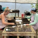 It may be July but we are setting seeds or fall. Kimberly (L) and Shelby (R) seeding trays of multiple fall crops.