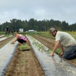 Kimberly (L) and Jacob (R) planting the second round of watermelon.