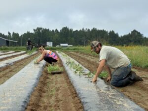 Kimberly (L) and Jacob (R) planting the second round of watermelon.