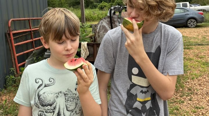 Thinking about Farm Workers and CSA List for 07/29