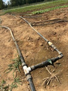 Our one inch mainline splits off to three quarter inch header that water five beds with two drip lines each