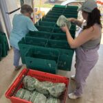 Connie (L) and Shelby (R) packing shares with bags of greens