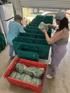 Connie (L) and Shelby (R) packing shares with bags of greens