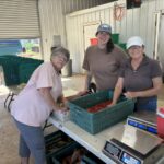 Connie (L), Shelby (center) and Guin (L) packing this weeks CSA