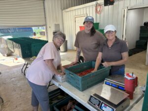 Connie (L), Shelby (center) and Guin (L) packing this weeks CSA