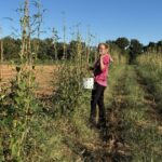 Kim picking the okra so fast she had time for a wave