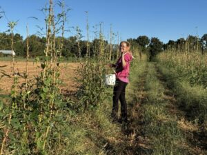 Kim picking the okra so fast she had time for a wave