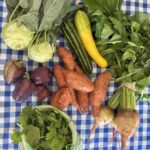 Picture of the Full Share for 10/14 starting top left going clockwise kohlrabi, summer squash (zucchini and zypher squash, watermelon radishes, arugula, bell peppers and in the center sweet potatoes