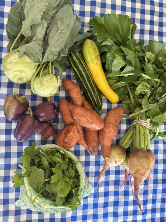 CSA List for 10/14 and Big Changes Coming to Tubby Creek Farm